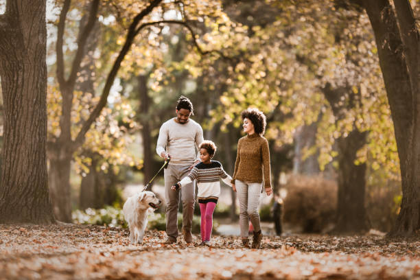 istockphoto-1140939348-612x612